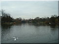 Lower Lake, Crystal Palace Park