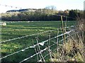 Wool on the wire near Wardour