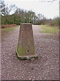 SO8383 : Triangulation pillar on the Staffordshire Way, Kinver Edge looking northeast by P L Chadwick