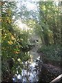 Chitterne Brook at Codford St Mary