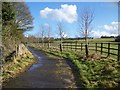 Footpath, Alhampton