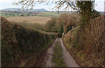 SO6623 : View West along Cut Throat Lane by Pauline E