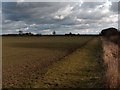 Fields south of Springthorpe Grange