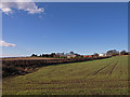 Field near Inchinnan