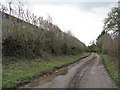 Muddy Lane At Upton Court