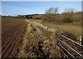 Field boundary near Lovelynch