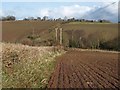 Field near Lovelynch