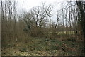 TQ6735 : Scrubby woodland, Marwick's Wood by N Chadwick