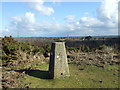 SU0505 : Trig Point  near Crooked Withies by Lorraine and Keith Bowdler