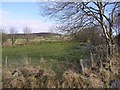 Castleroddy Townland