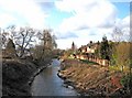 River Salwarpe awaiting canalisation