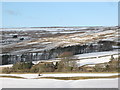 West Allen Dale - Low Hartleycleugh and High Turney Shield