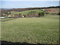 From Harden Hill Road towards Thick Hollins