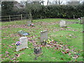 A quiet corner in the churchyard at   St Mary, East Worldham