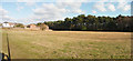 Bournemouth : Grassy Field & Trees