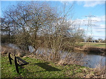 SZ0896 : Bournemouth : Stour Valley Local Nature Reserve by Lewis Clarke