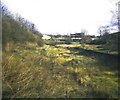 Halesowen Station (remains)