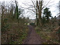 Footpath and bridge over the River Trym