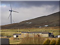 Red Lumb Farm