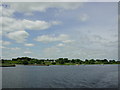 M9560 : Portrunny jetty and shoreline from Lough Ree by Gordon James