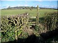 Ditch and stile, Woodlands