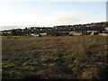 Waste ground, Dundonald