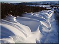 Van Road in winter