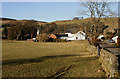 A grazing field at Moniaive