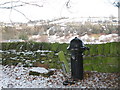 NY8355 : Allendale Town viewed from the cemetery by Mike Quinn