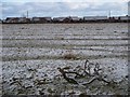 Rigg and furrow north of the village