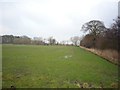 Field off Lorrenger Lane