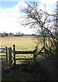 Footpath from Crane Hill to Ashorne