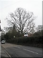 Looking south-east on the A287 in Churt village centre