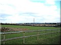 Fields near Hartlebury Common