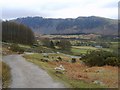 Looking Towards The Screes