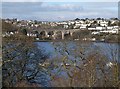 Coombe Viaduct from Barne Barton