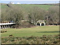 The floodplain of the River Taw at Newbridge