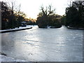 Frozen Lake Crows Nest Park