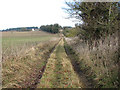 Path from Gasthorpe to the A1066 road