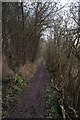 Footpath at Great Canfield Park