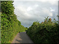 Narrow lane at Higher Allerford