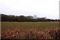 Looking across a field at Joshua Farm