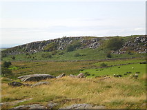 SD5461 : Baines Cragg - Littledale near Lancaster by Tom Howard