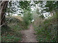 Purbeck : South West Coastal Path