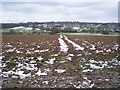 Footpath to Tenterden