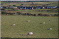 Fields west of Blaenplwyf