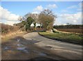 Country road looking towards Eagle nr Swinderby