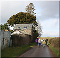 Local walking group