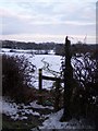 Footpath to Frogs Hole Lane