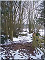 Footpath to Hemsted Forest